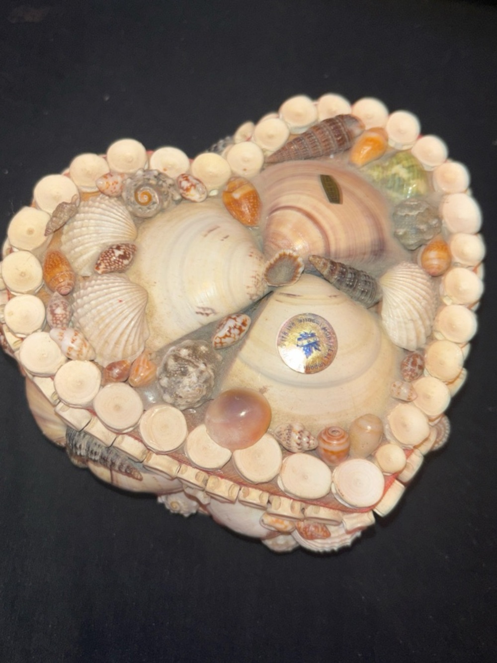 Vintage Heart-Shaped Seashell Jewelry Box - Red Velvet Lined
